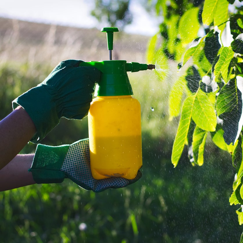 Insecticides