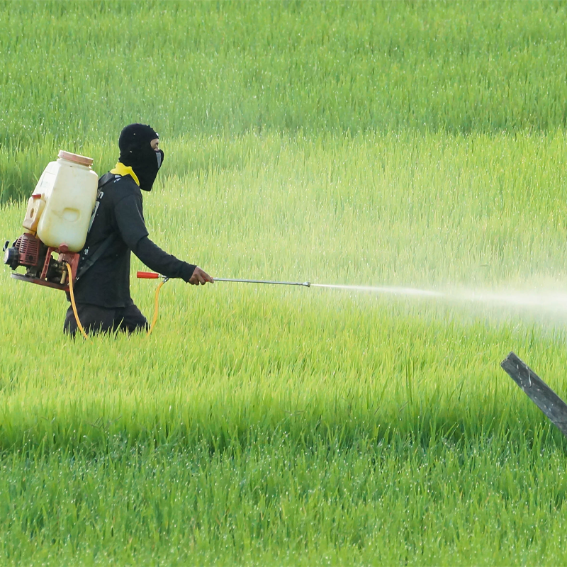 Pesticides